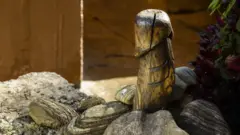 लिंग