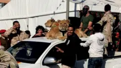 ਲਿਬੀਆ ਵਿੱਚ ਸ਼ੇਰਾਂ ਵਾਲੇ ਭਰਾ