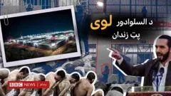 په تېره فبرورۍ کې د السلوادور ولسمشر نایب بوکله اعلا وکړ چې د جرمي ډلو زرګونه جګپوړي غړي یوه تازه پرانیستل شوي لوی زندان ته لېږدوي.