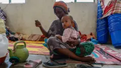 የሰሜን ኢትዮጵያ ጦርነት ተከትሎ በሚሊዮን የሚቆጠሩ ዜጎች ቀያቸውን ጥለው ተሰደዋል።