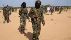 Combattants al-Shebab
