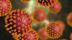 coronavirus