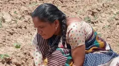 ગુજરાતી મહિલા ખેડૂત