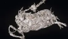 બીબીસી ગુજરાતી