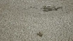 Қуриб қолган сув омборининг туби