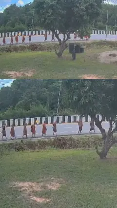 سی سی ٹی وی فوٹیج