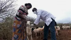 Busaa'ee talalamaa jiran