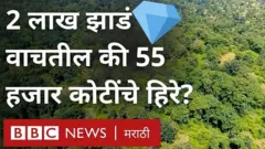 जंगलतोड