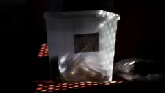 मतपेटिका