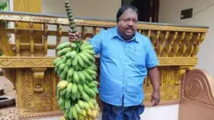 அரிய வகை வாழைகள்