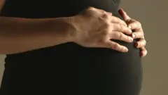 حمل