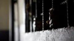 የእስር ቤት ፍርግርግ ብረት