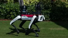 Um cão-robôcomo apostarcomo apostar em duas cores no doubleduas cores no doubleaparência futurista feito pela Boston Dynamics patrulhando terreno da residênciacomo apostarcomo apostar em duas cores no doubleduas cores no doubleDonald Trump na Flórida