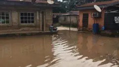 Idemmiri n'Enugwu