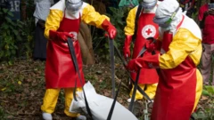 Awọn oṣiṣẹ eleto ilera n gbe oku eeyan ti Ebola pa 