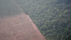 Imagem aérea mostra trator em uma plantação ao lado de floresta perto de Porto Velho (RO)