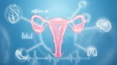 صورة تعبيرية ثلاثية الأبعاد للرحم