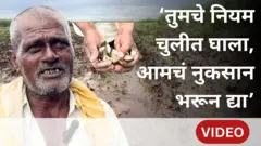 शेतकरी नुकसान