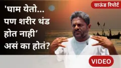 ह्युमिड हीट म्हणजे काय?