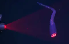 Imagem de lanterna no fundo do mar iluminando uma criatura