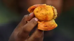 በለስ ዝሓዘ ሰብ