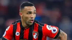 callum wilson