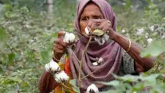 મહિલા