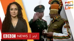 سیربین