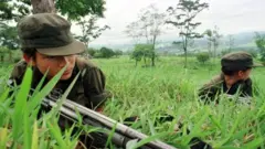 Kolombiya FARC