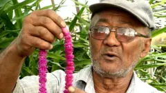 मोहन माली