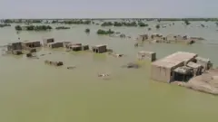 पाकिस्तान