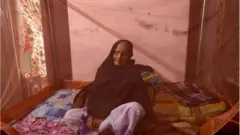 মশারি।
