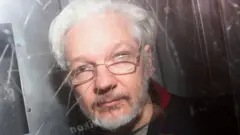 Ассанж, январь, 2020