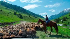 Кыргызстанда тоолуу жерде жашаган калк негизинен мал чарбасы менен оокат кылат