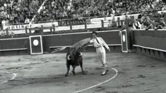 Beogradska korida i Luis Miguel Domingin