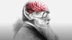 Darwin