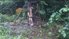 Bones of kidnap victim