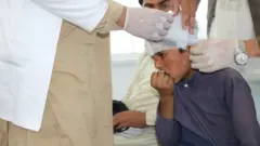 زلزله ځپلي
