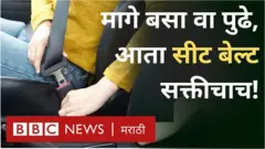 सीट बेल्ट