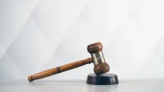 Молот судді