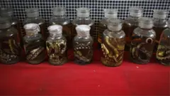 Snakes being sold in china