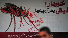 ڈینگی