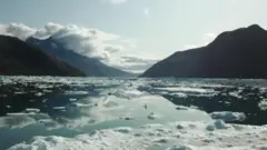CLIMATE CHANGE