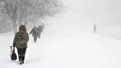 сніг