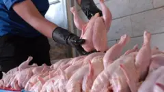 مرغ
