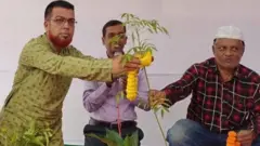 স্থানীয় একটি অলাভজনক সংগঠন প্রতীকী এই বিয়ের অনুষ্ঠানের আয়োজন করে। এর পেছনে মূল উদ্দেশ্য ছিল শিশু শিক্ষার্থীদের মধ্যে বৃক্ষপ্রেম তৈরি করা।