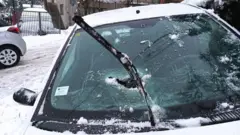Automobil Ruže Injac