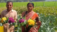 রঙিন ফুলকপি হাতে সন্তোষ বিশ্বাস ও তার স্ত্রী