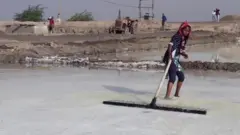 गुजरात चुनाव