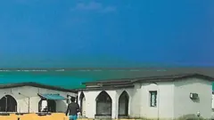 عروس